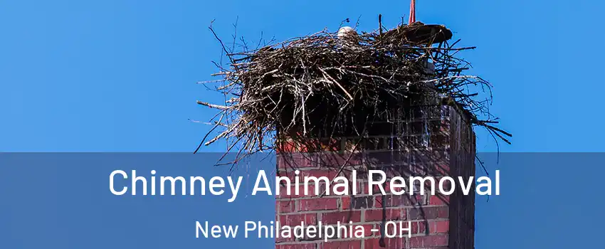  Chimney Animal Removal New Philadelphia - OH