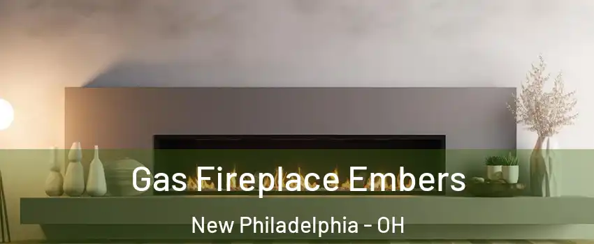  Gas Fireplace Embers New Philadelphia - OH
